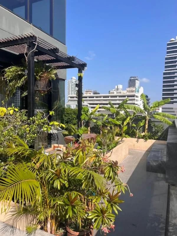 M Silom — photo 10