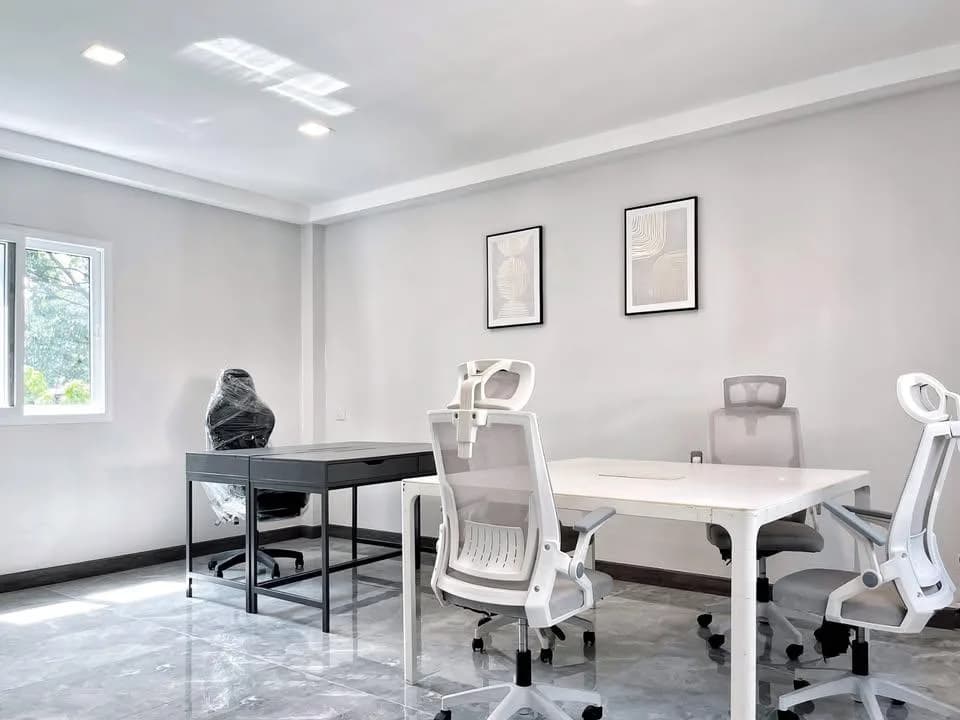 White Mansion — photo 10