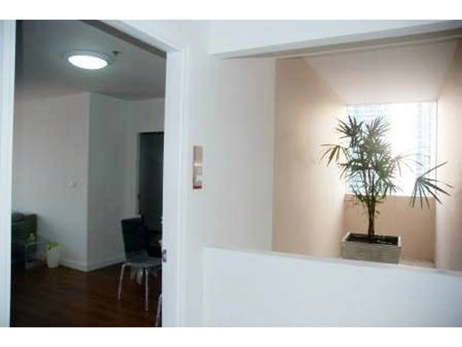 Condo One X Sukhumvit 26 — photo 2