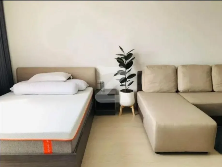Elio Del Nest Udomsuk — photo 1