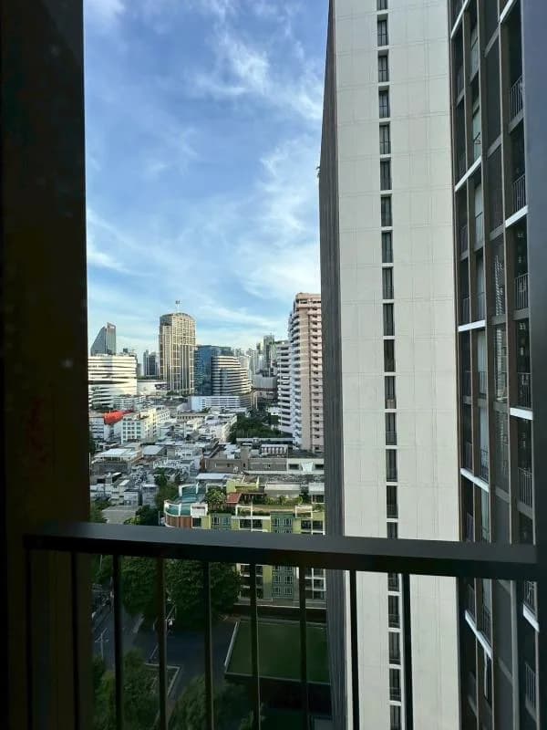 Noble Around 33 — photo 12