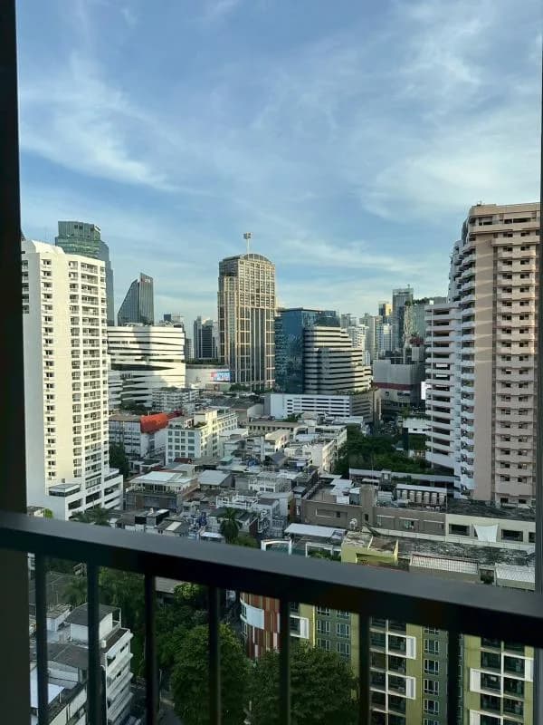Noble Around 33 — photo 10