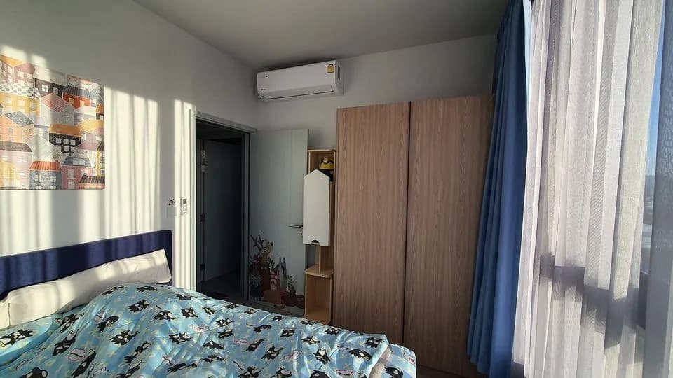 XT Ekkamai — photo 2
