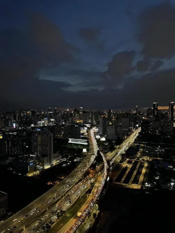 Siamese Rama 9 — photo 11