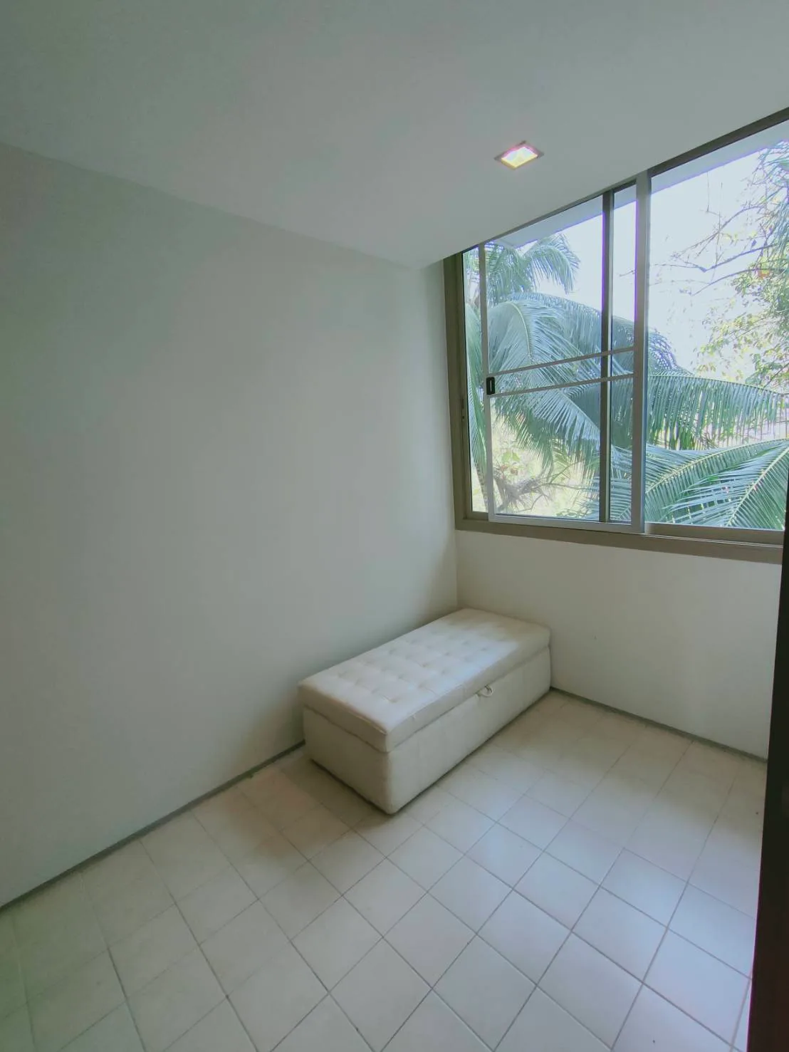 Ficus Lane — photo 14
