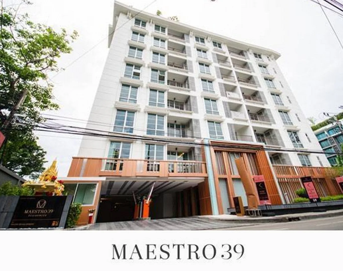Maestro 39 — photo 15