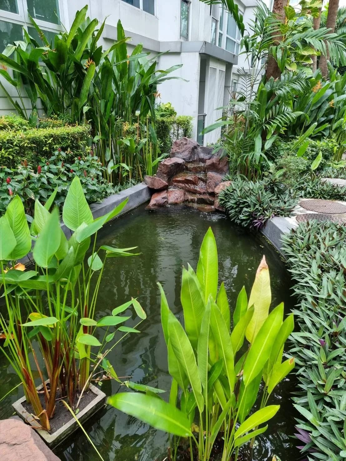 Mayfair Place Sukhumvit 64 — photo 14