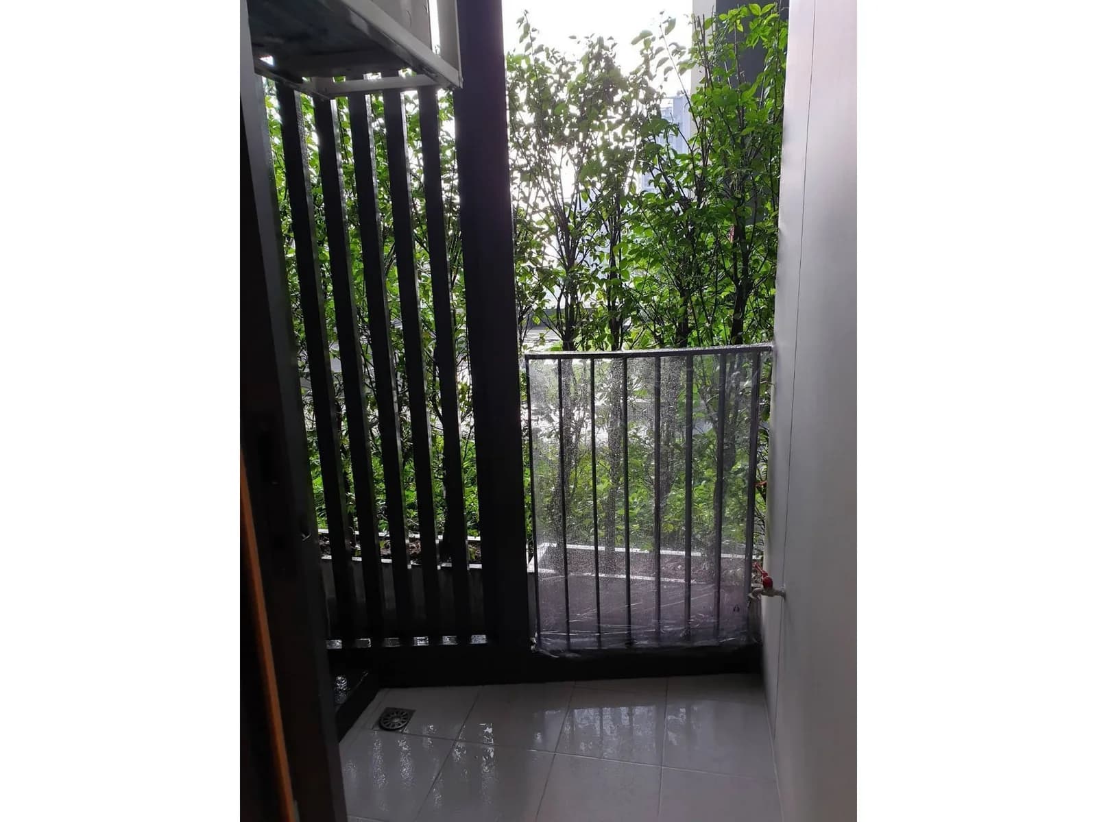 Rhythm Ekkamai — photo 6
