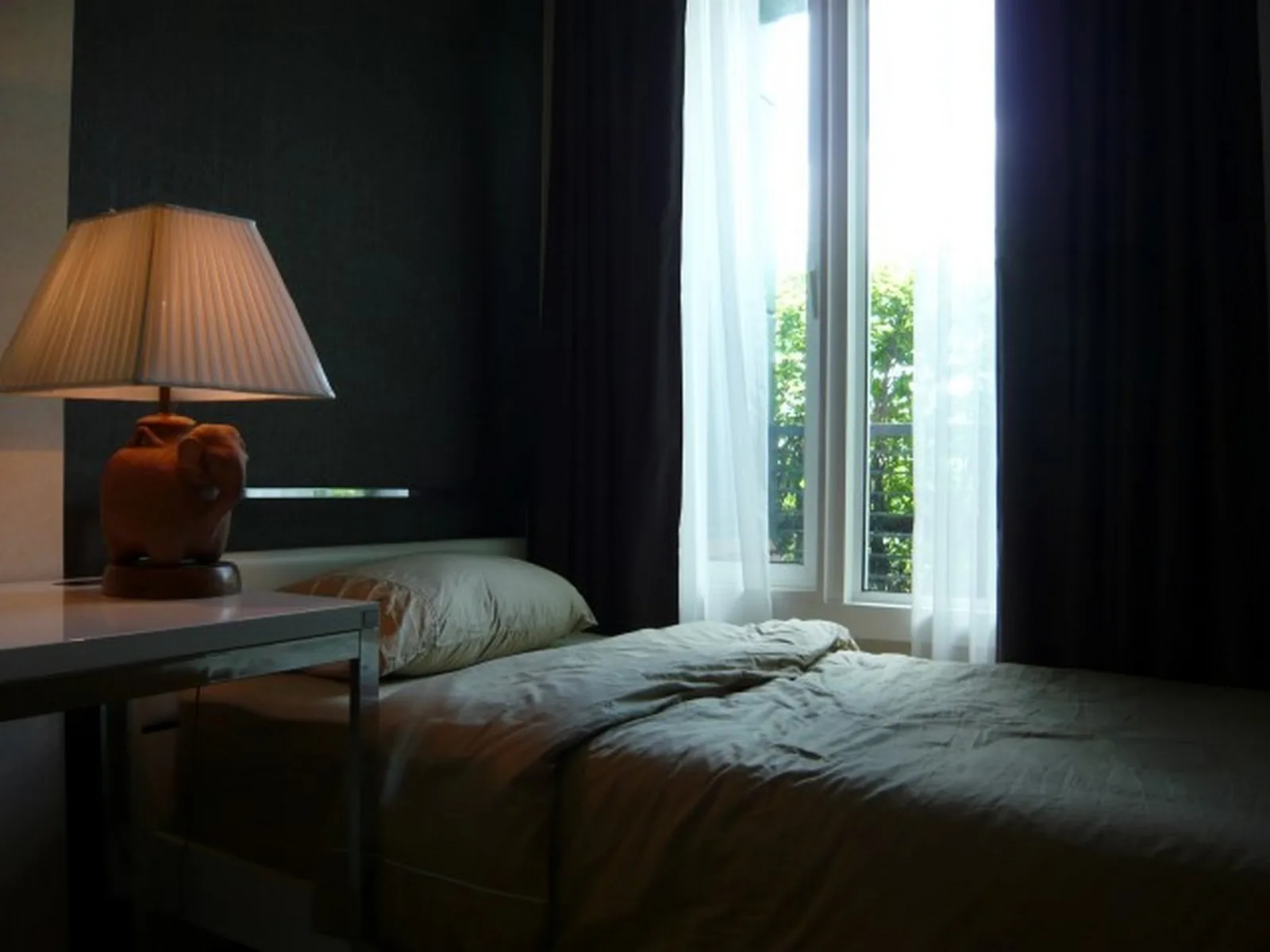The Parkland Taksin - Thapra — photo 7