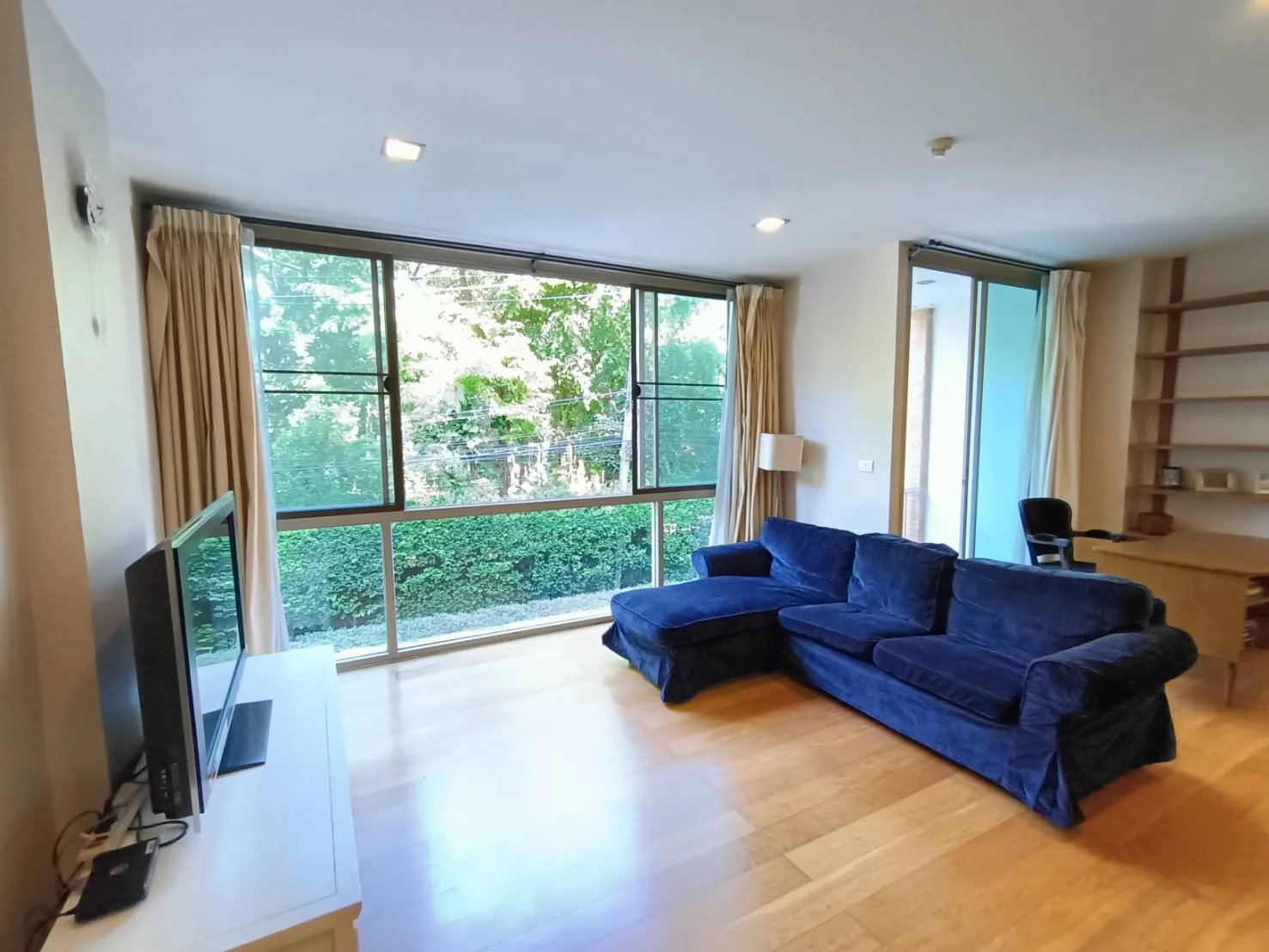 Ficus Lane — photo 1