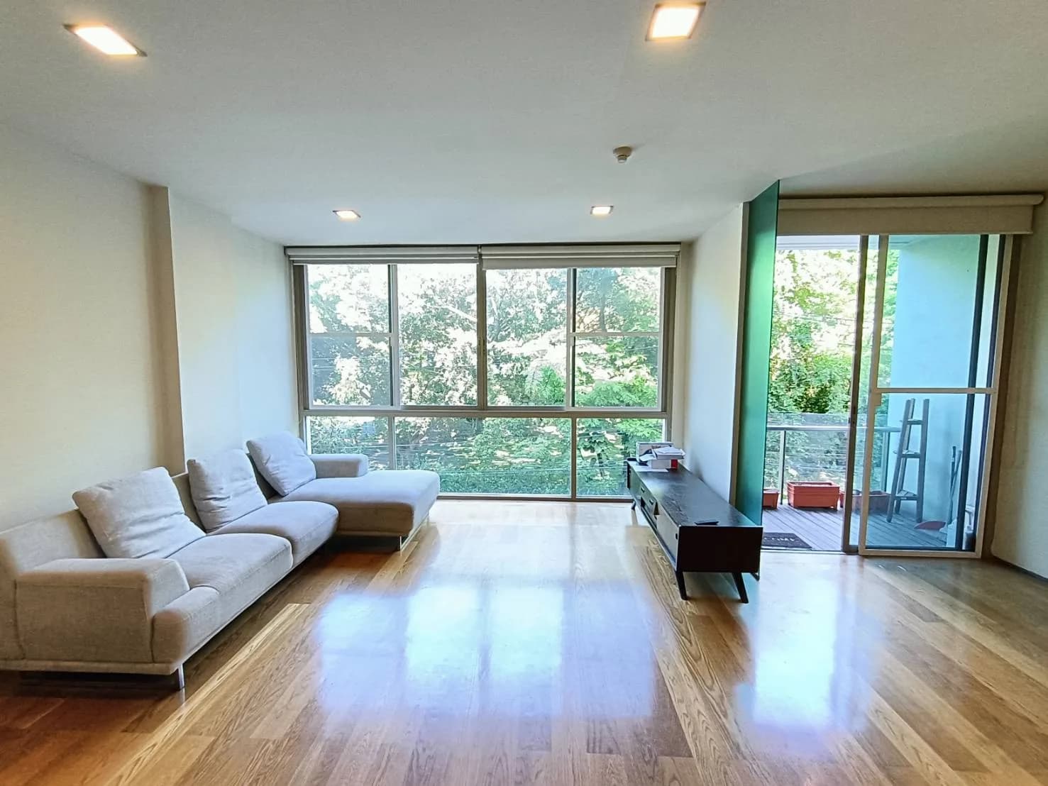 Ficus Lane — photo 1