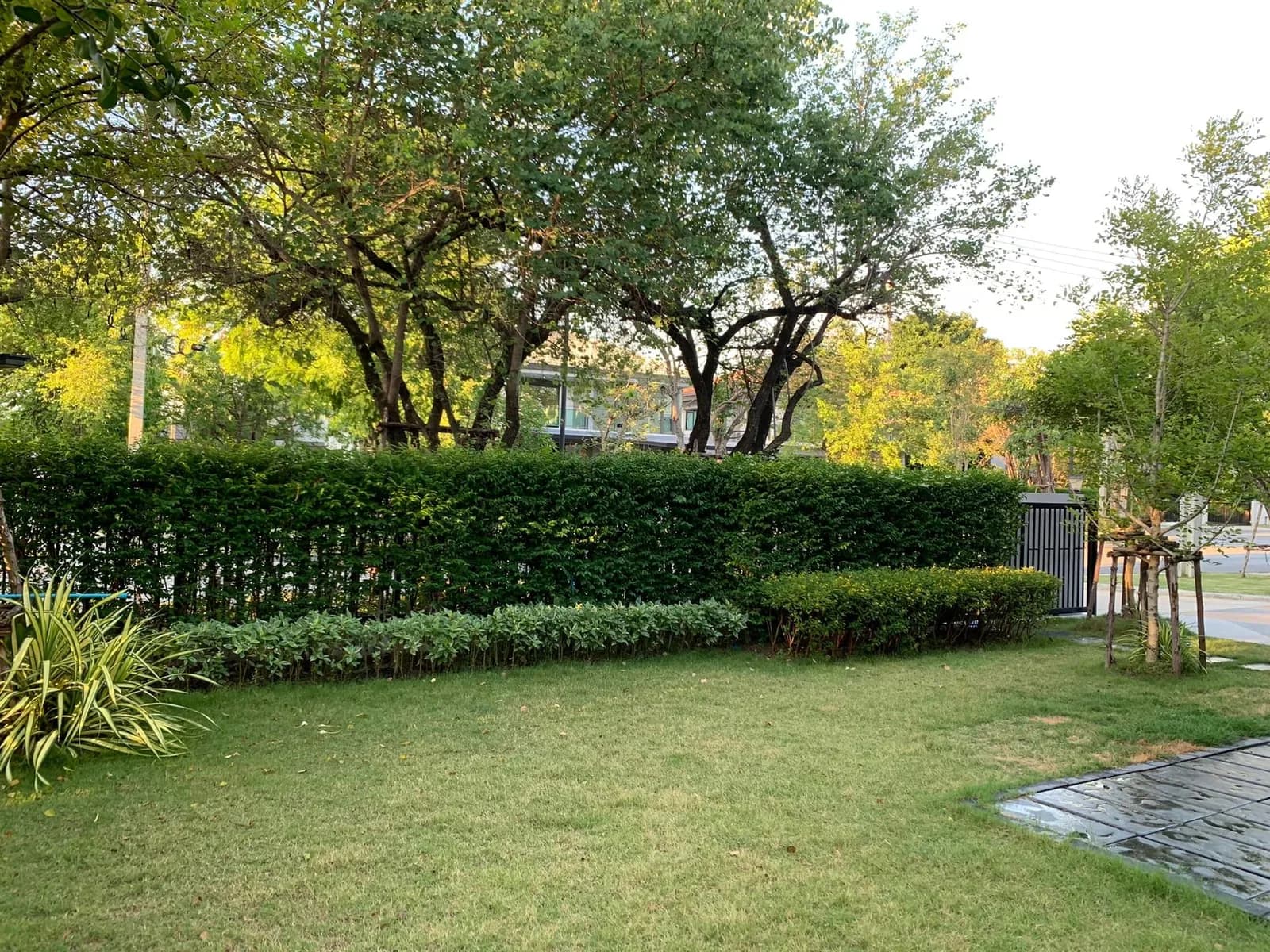 Burasiri Wongwaen Onnut — photo 16