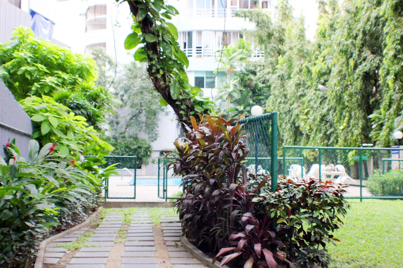 Premier Condominium — photo 19