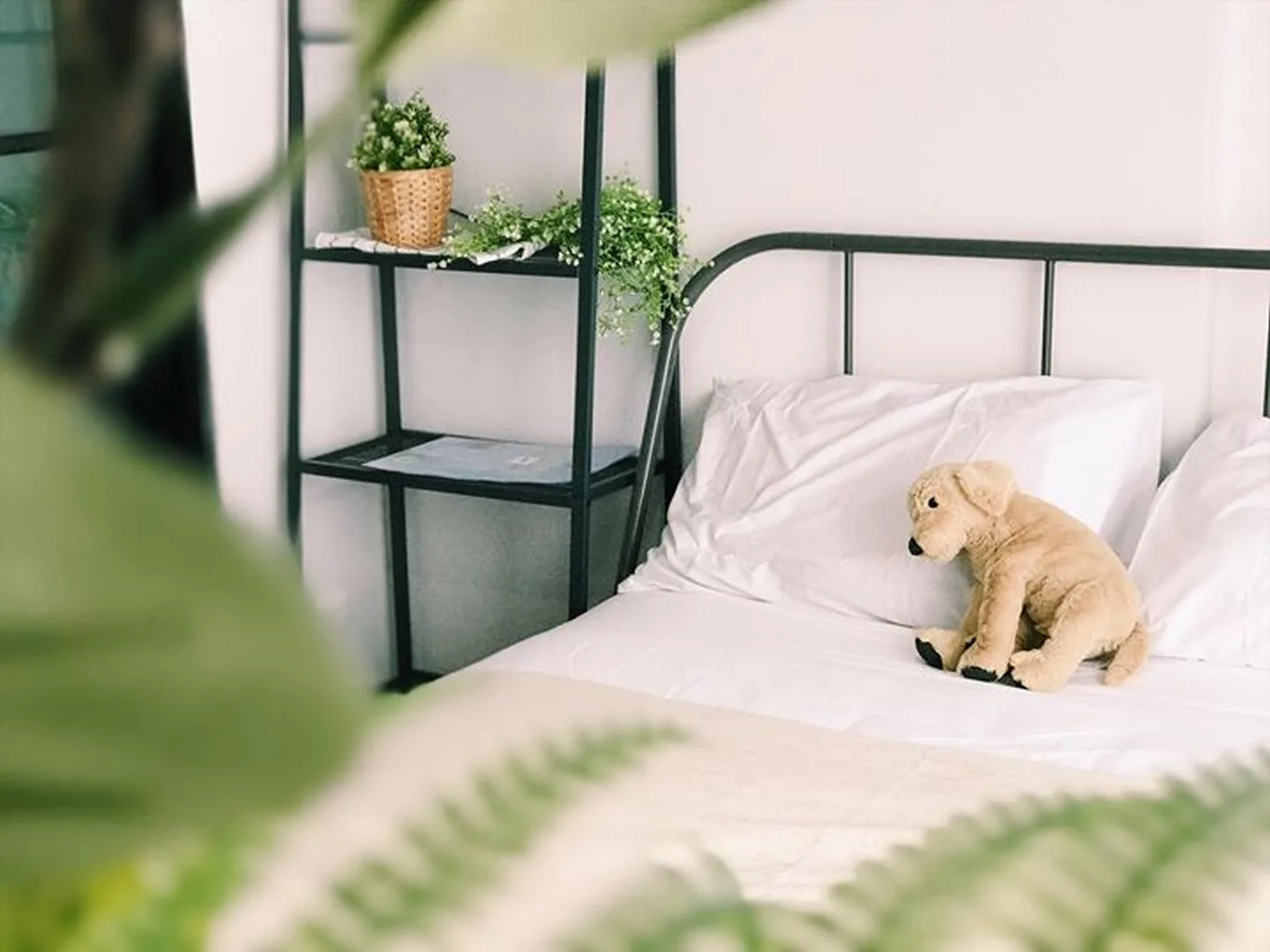 Regent Home Sukhumvit 81 — photo 14