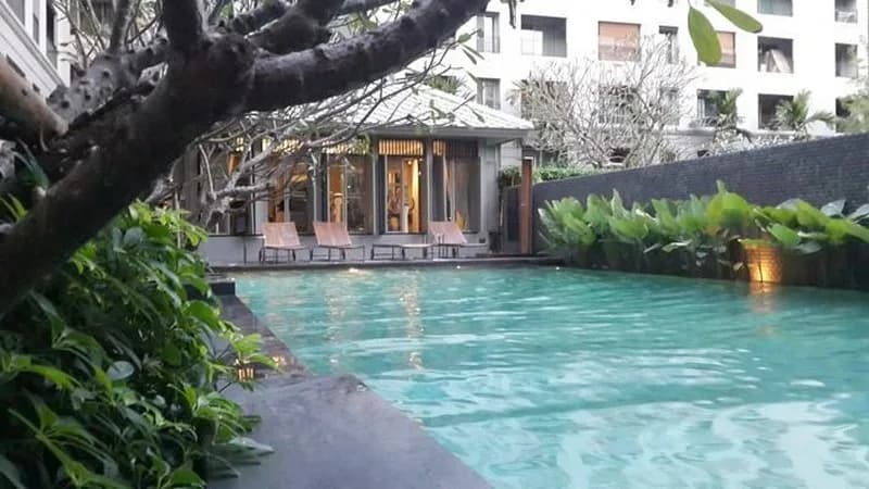 The Seed Memories Siam — photo 3