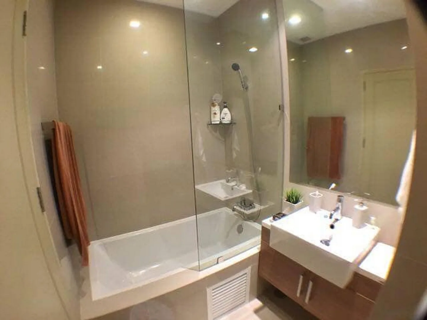 Noble Reveal — photo 9