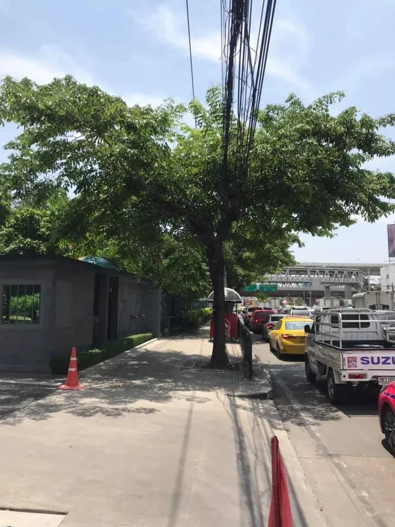 Whizdom Station Ratchada - Thapra — photo 15