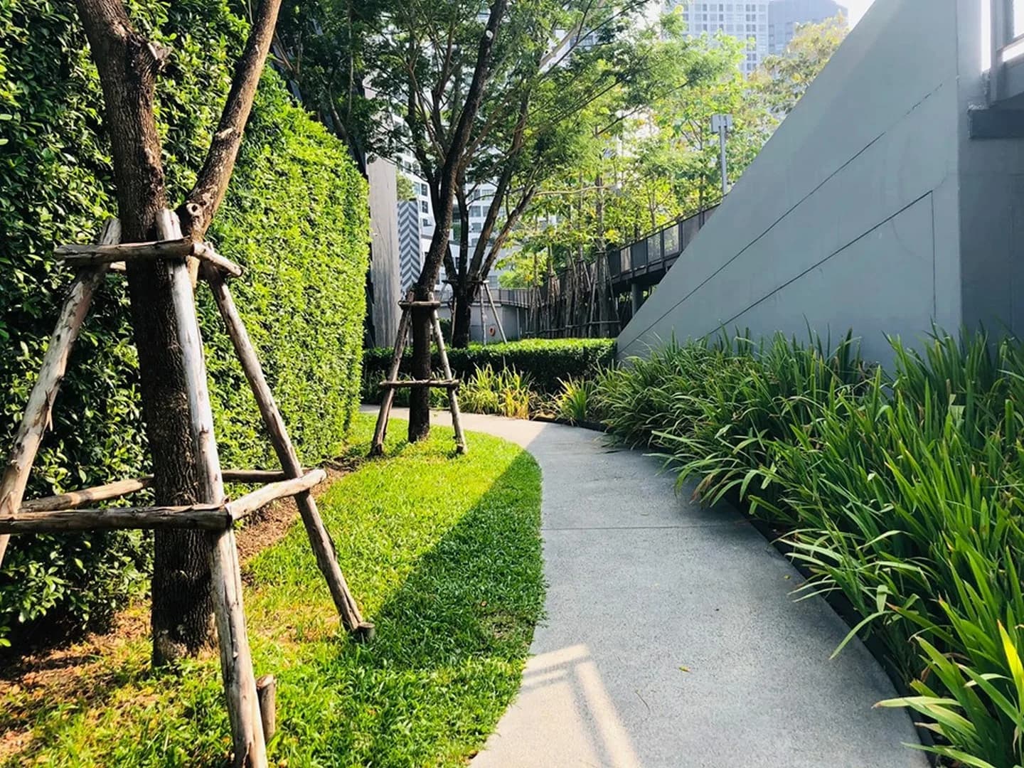 IDEO O2 — photo 13