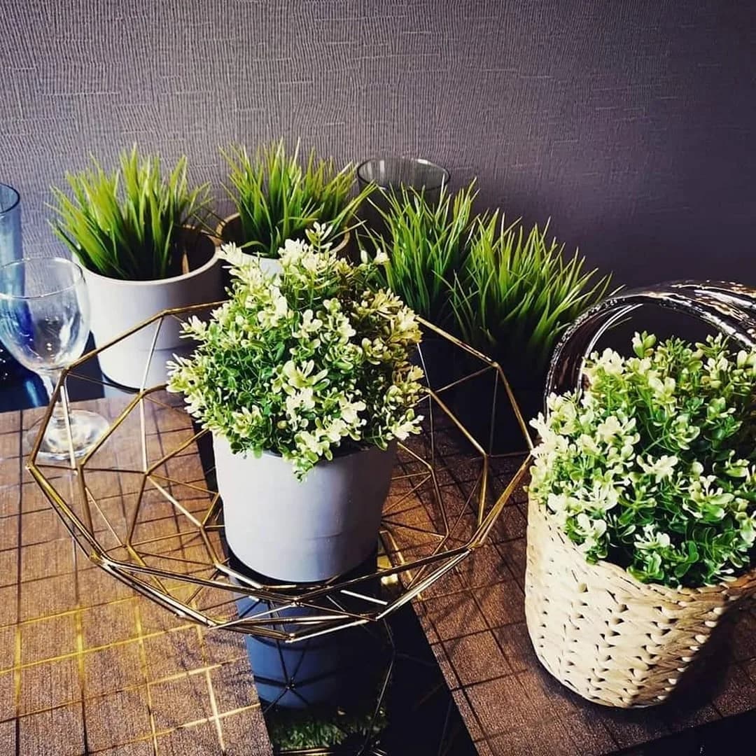 Life Asoke — photo 2