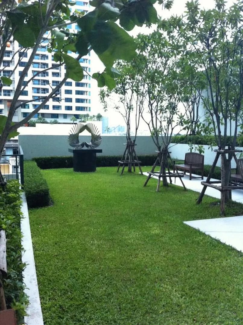 Aspire Rama 4 — photo 8