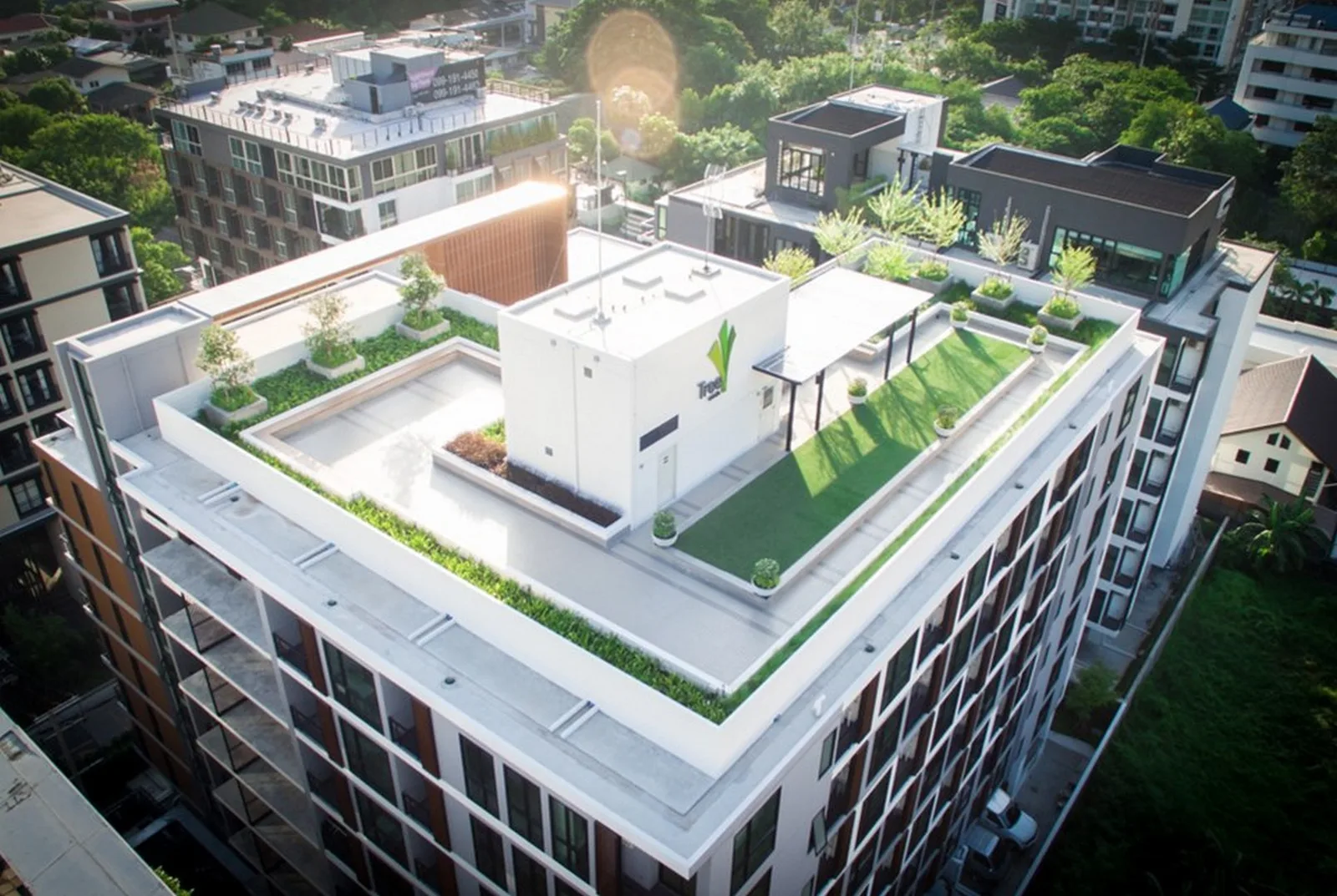 Tree Condo Sukhumvit 50 — photo 11
