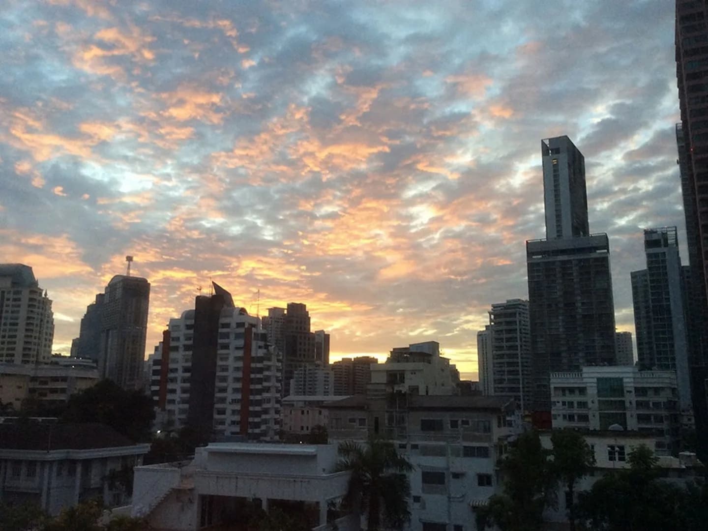 Trapezo Sukhumvit 16 — photo 4