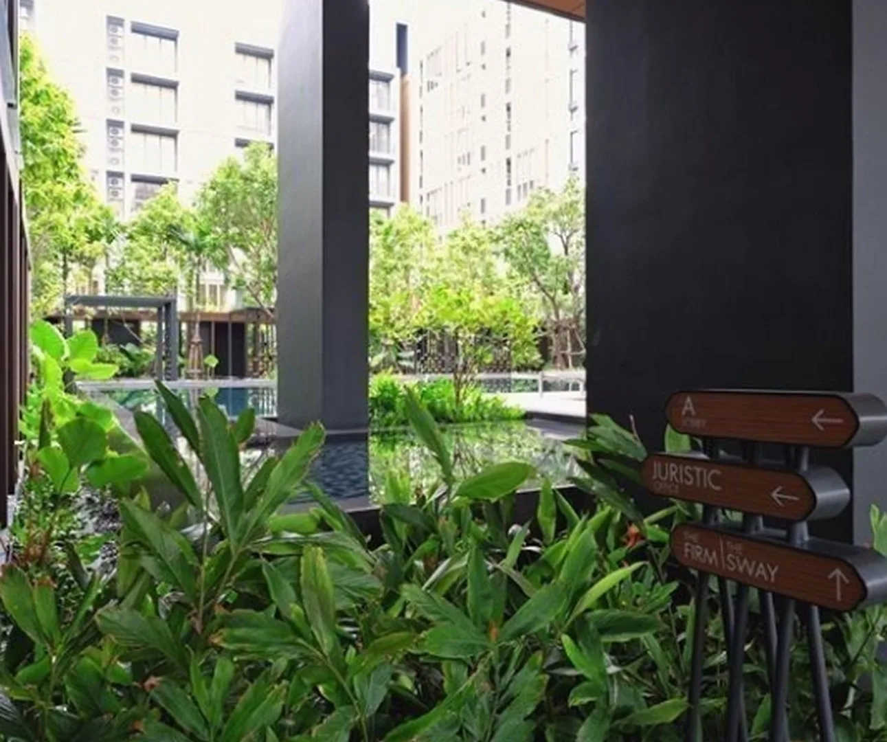 Hasu Haus — photo 7