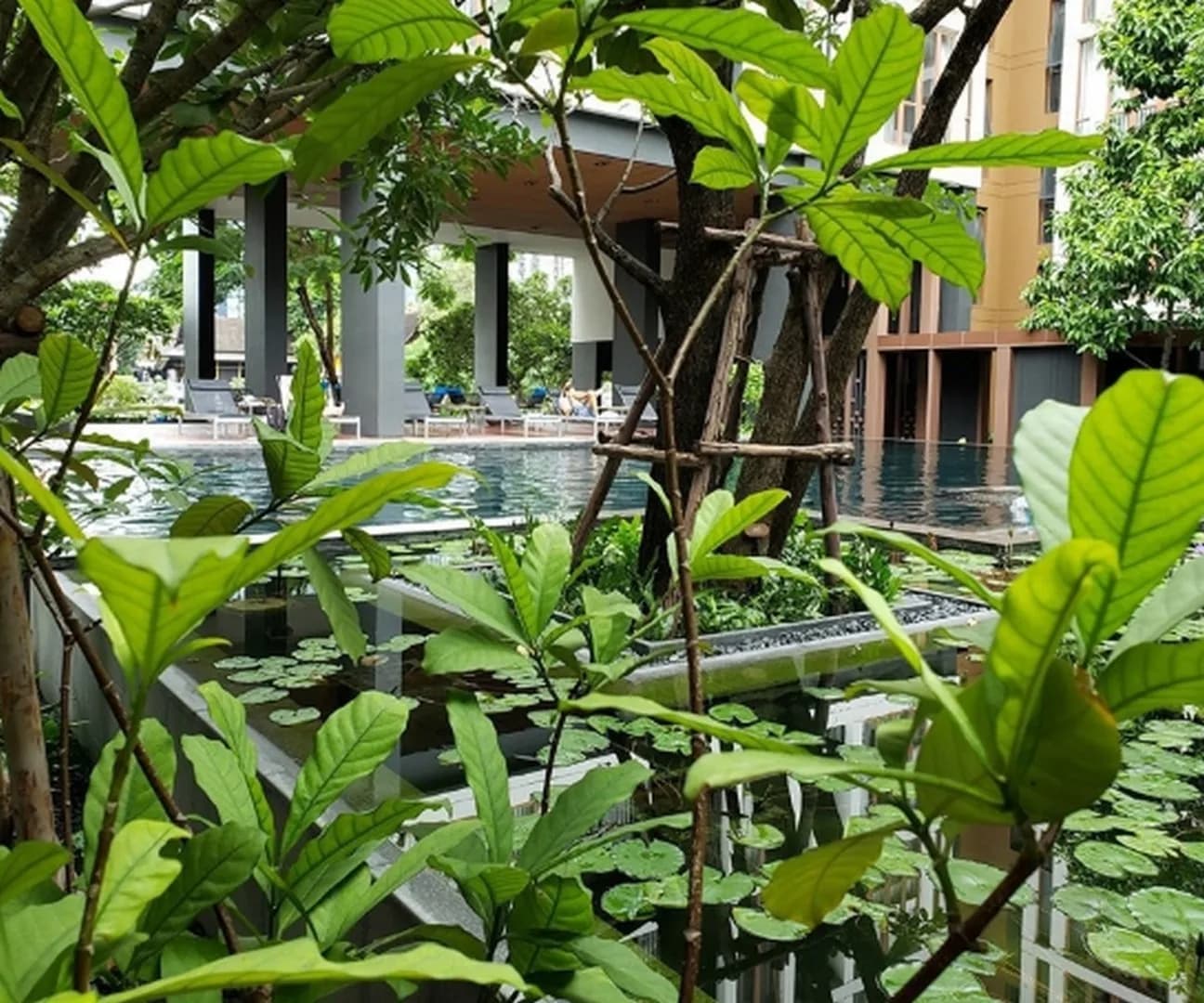 Hasu Haus — photo 13