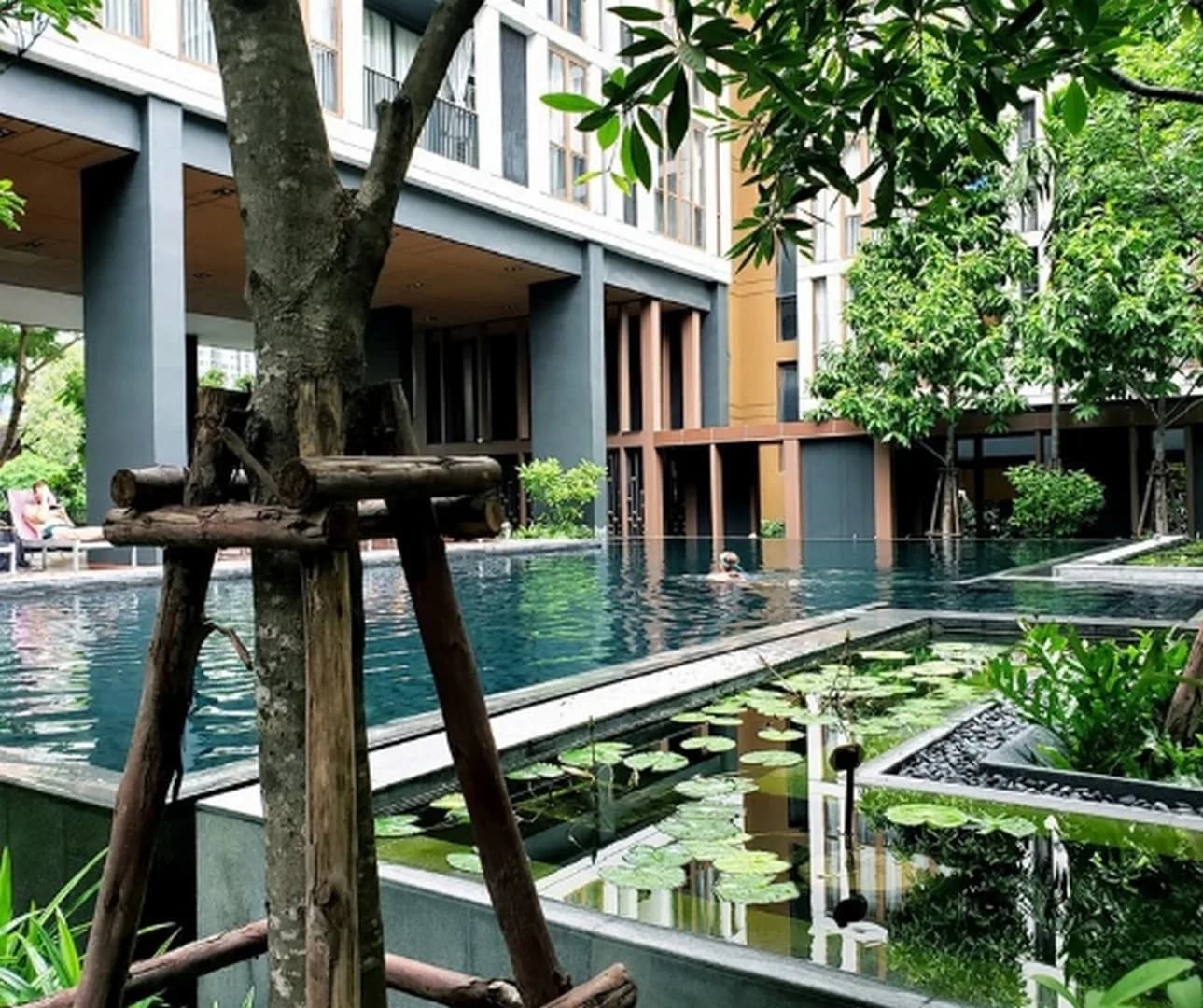 Hasu Haus — photo 14