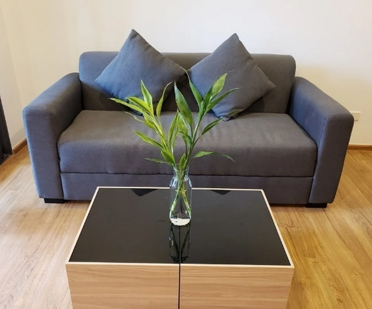 Hasu Haus — photo 3