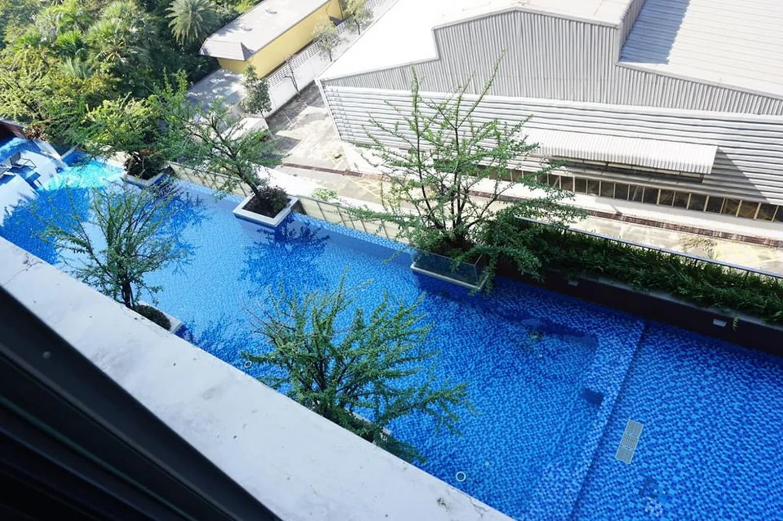 Ideo Blucove Sukhumvit — photo 5