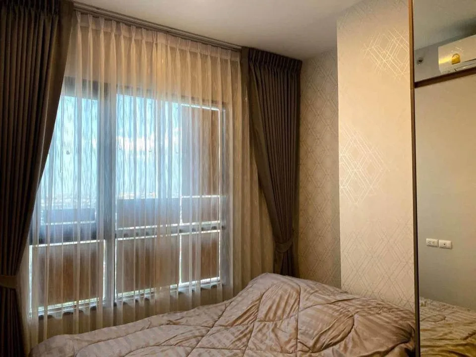 Knightsbridge Prime Onnut — photo 4