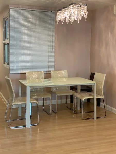 Tristan — photo 15