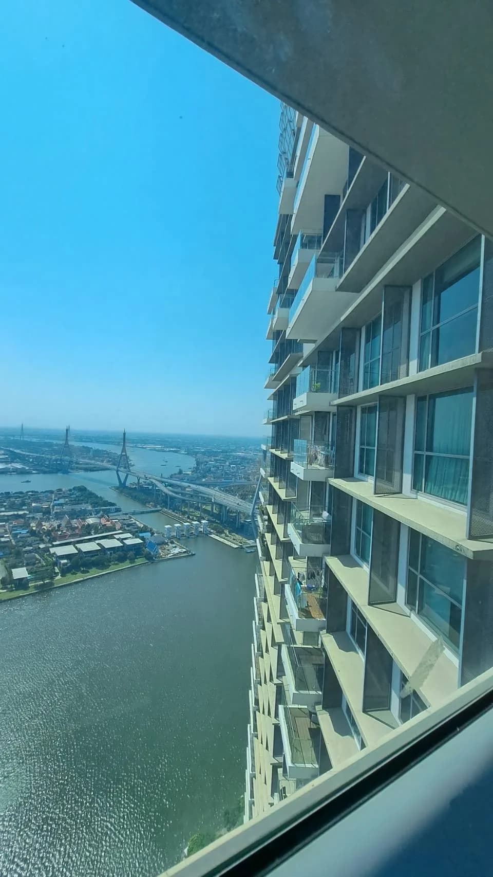 The Pano — photo 15