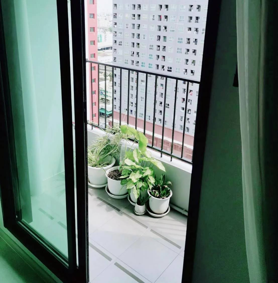 The Privacy Rama 9 — photo 15