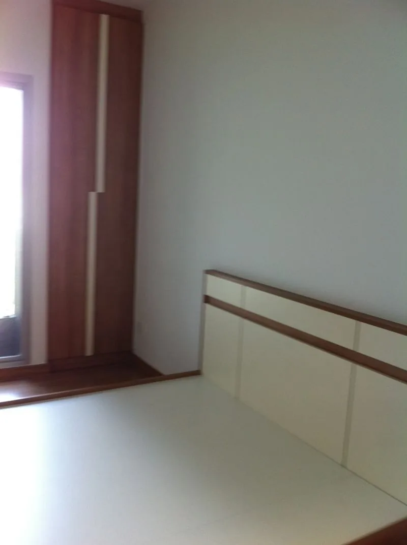 The Seed Musee — photo 3