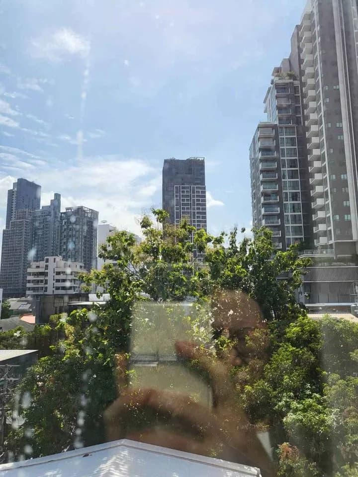 LIV@49 — photo 9