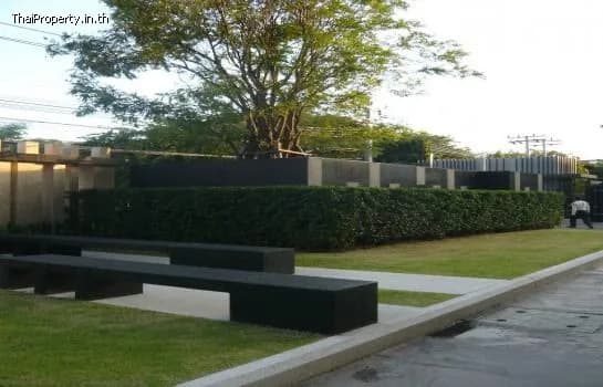 The Vertical Aree — photo 15