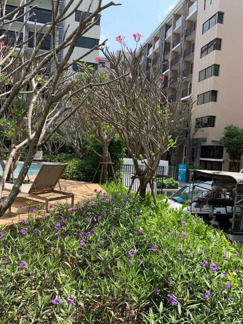 Blossom Condo @ Sathorn - Charoenrat — photo 10