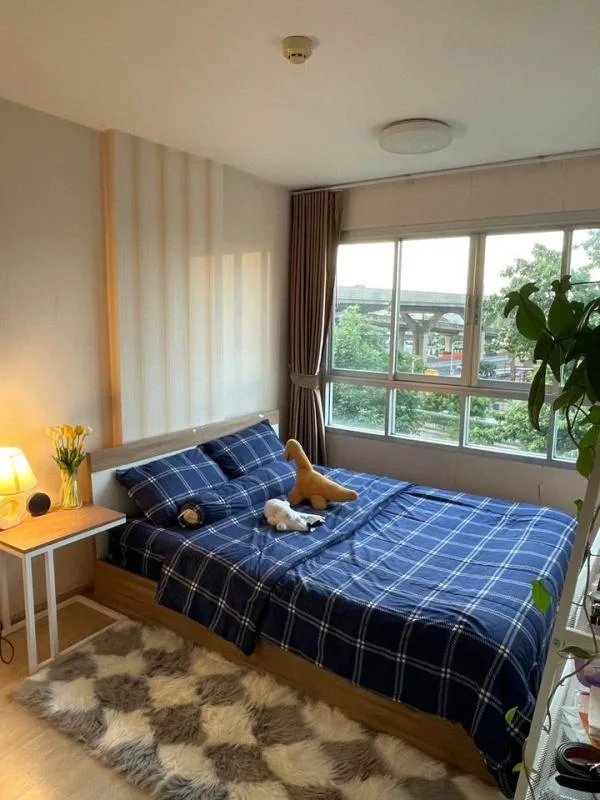 Elio Condo — photo 5