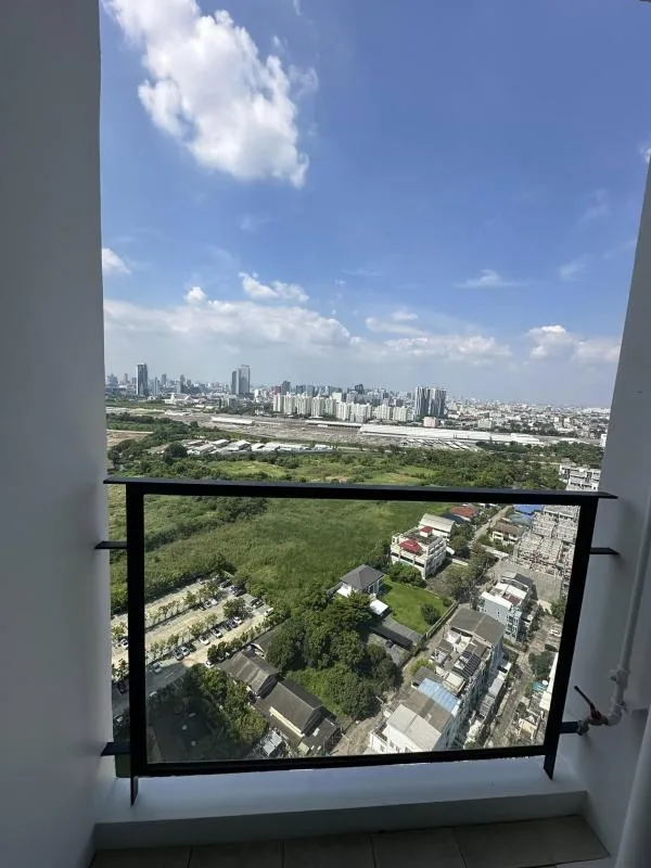 Siamese Rama 9 — photo 14