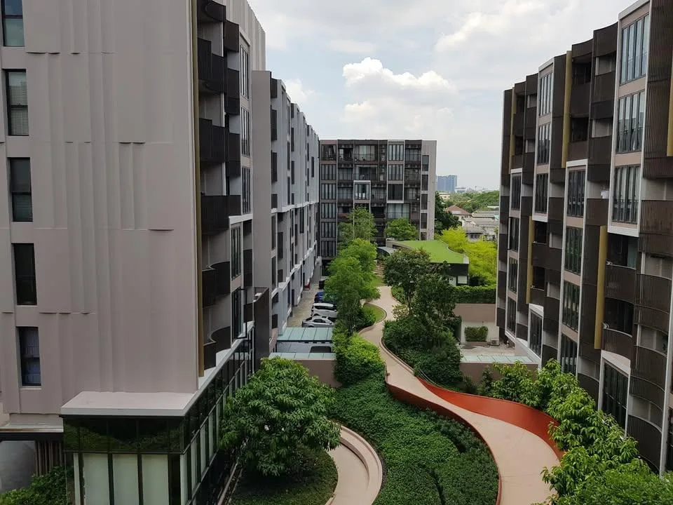 KAWA HAUS — photo 10