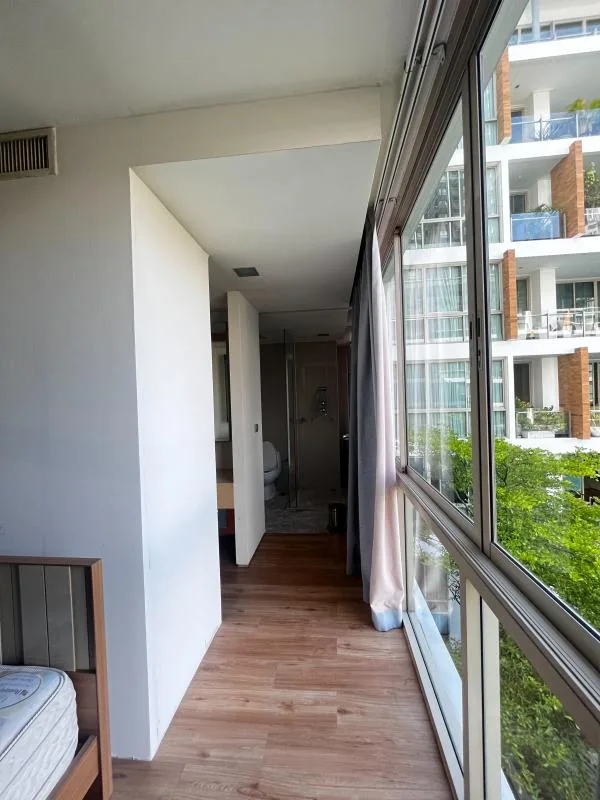 Ficus Lane — photo 11