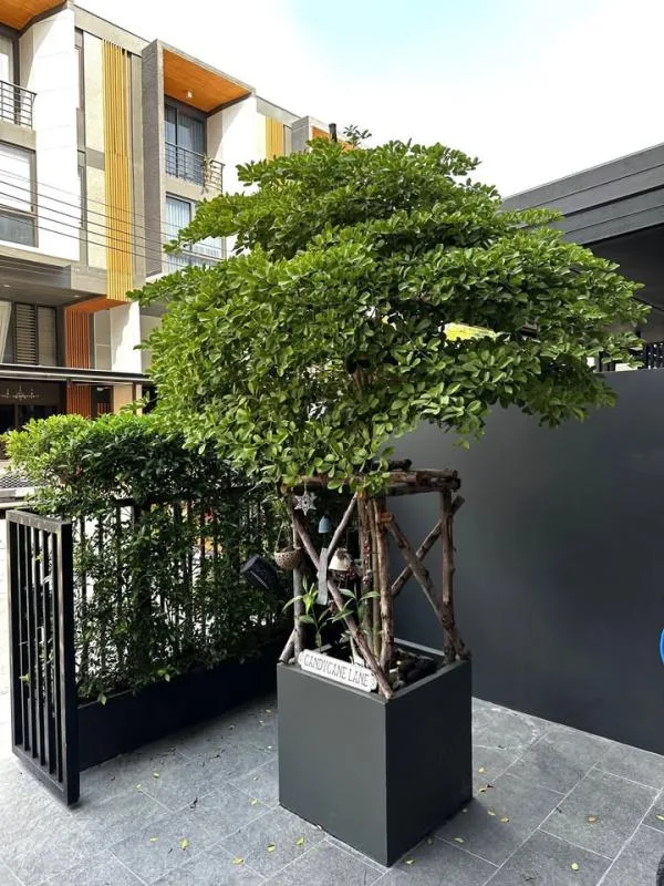 Shizen Phatthanakan 32 — photo 18