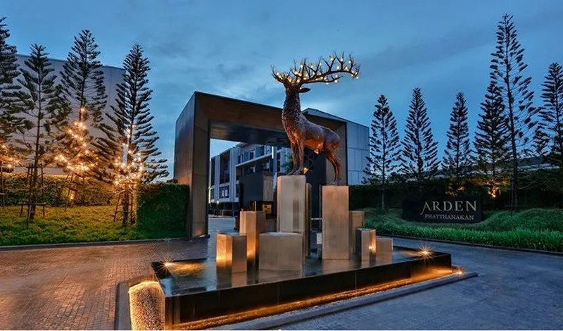 Arden Pattanakarn — photo 8