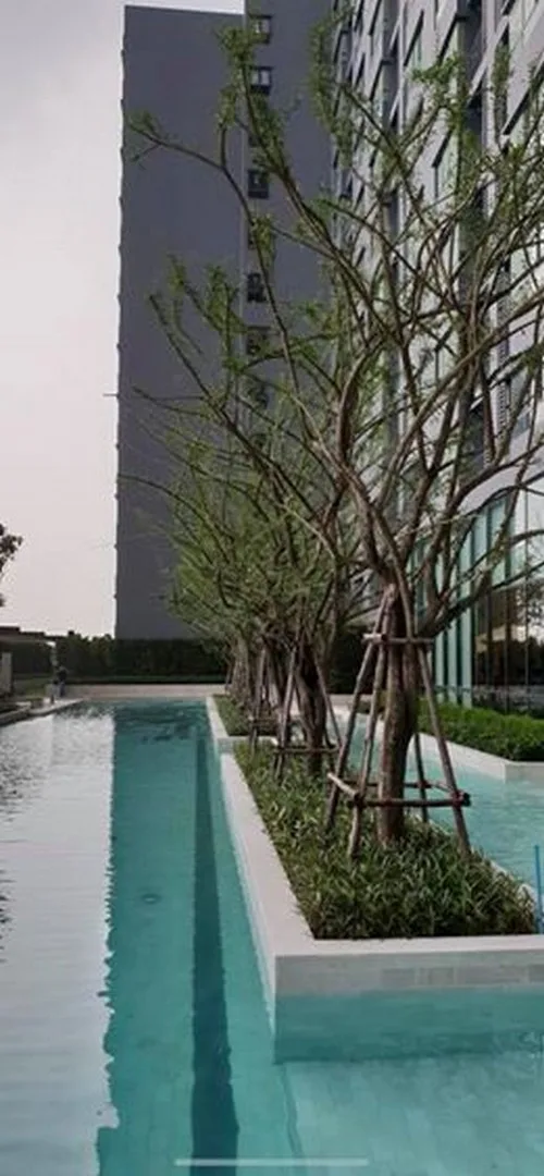 Ideo Sukhumvit 93 — photo 9