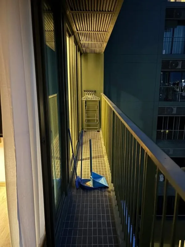 Noble Solo — photo 14
