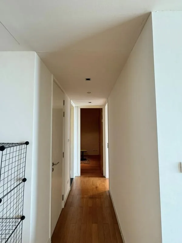 The Pano — photo 6