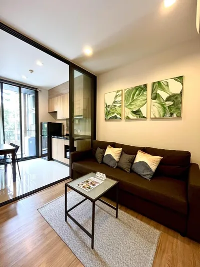 Hasu Haus