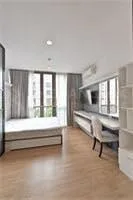 Hasu Haus — photo 3